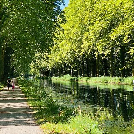 Gite La Canopee A Duras - Piscine Экстерьер фото